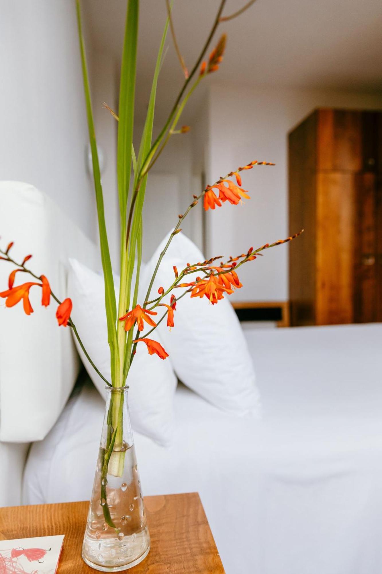Hotel El Castano Dormilon Санта Марта де Ортигейра Екстериор снимка